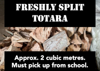 Totara firewood auction