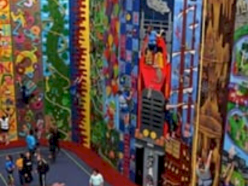 Vertical Adventures Indoor Rock Climbing for Two