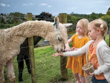 Kiwi Valley Family Pass